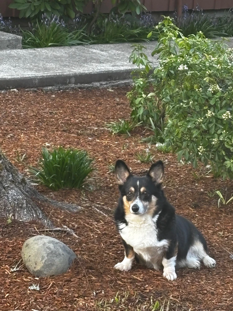 GIF uploaded by Clinton