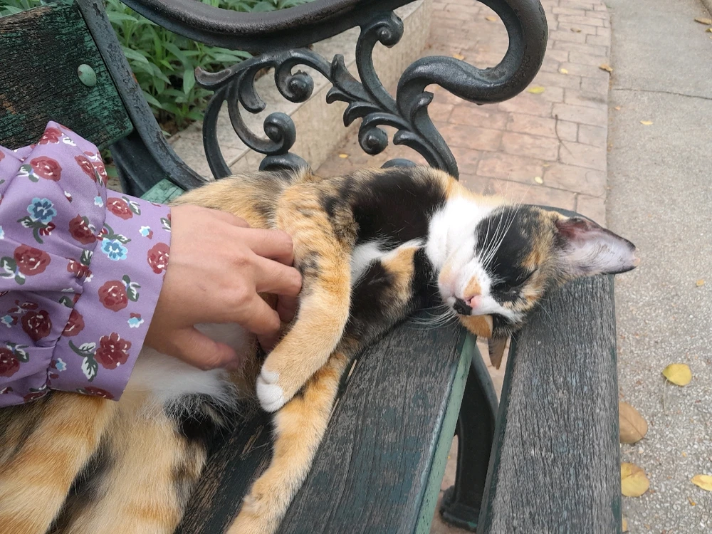 Image uploaded by Annnn