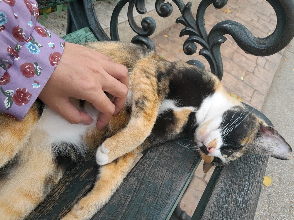 Image uploaded by Annnn