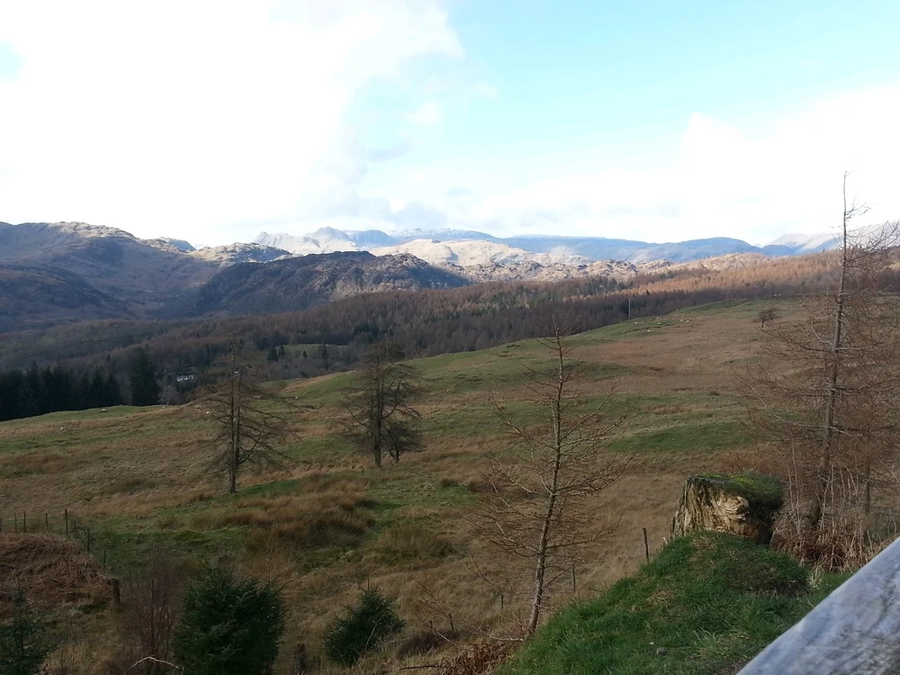 Image uploaded by Mike