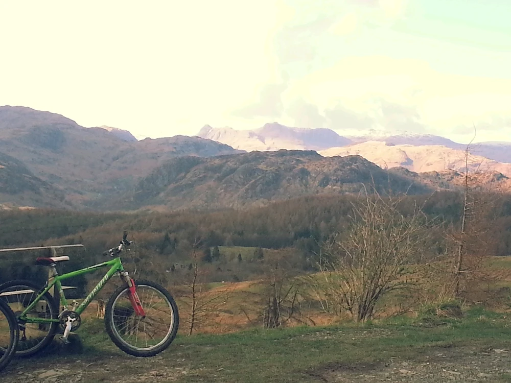 Image uploaded by Mike