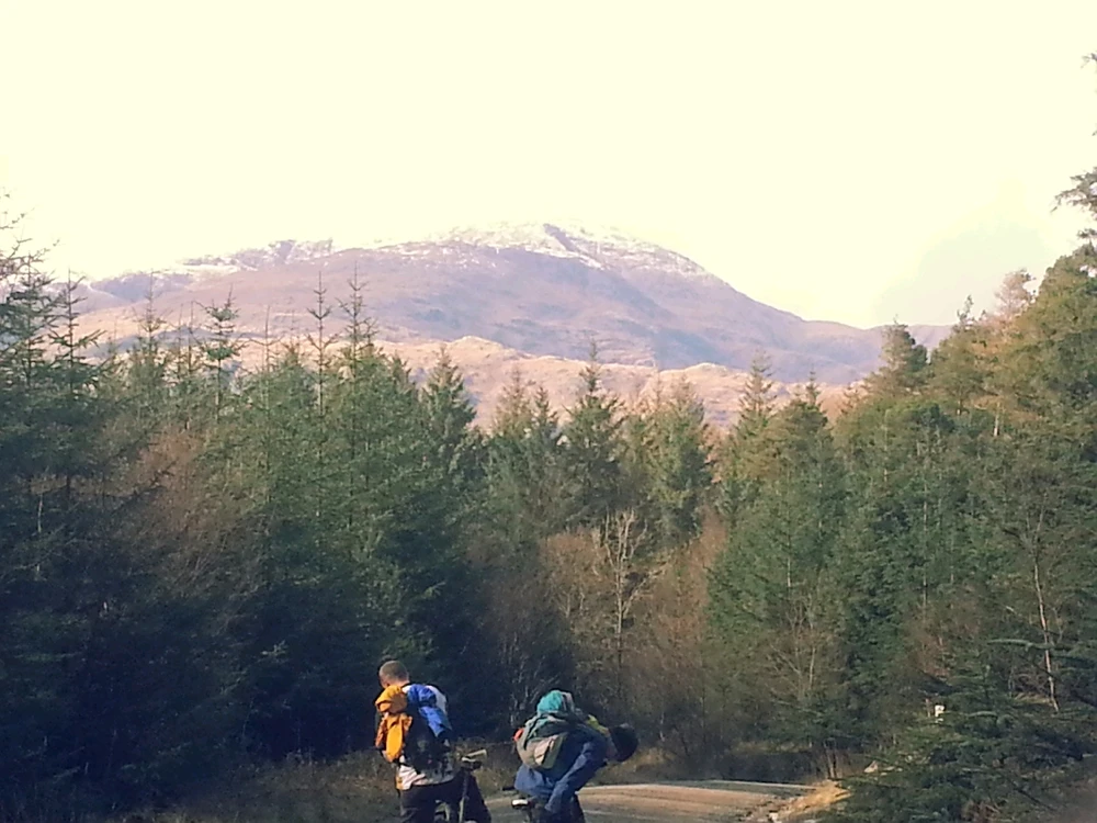 Image uploaded by Mike