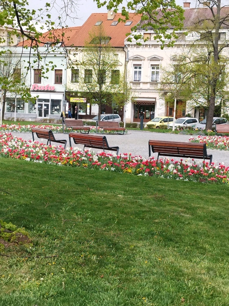 Obrázek nahrál Eliška