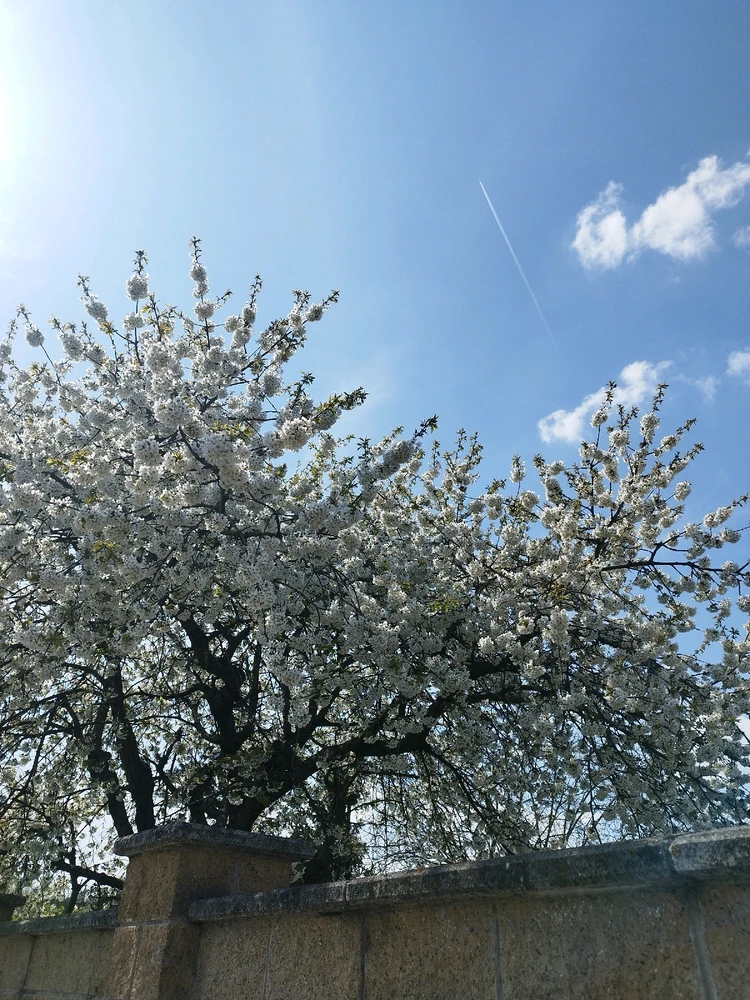 Obrázek nahrál Eliška