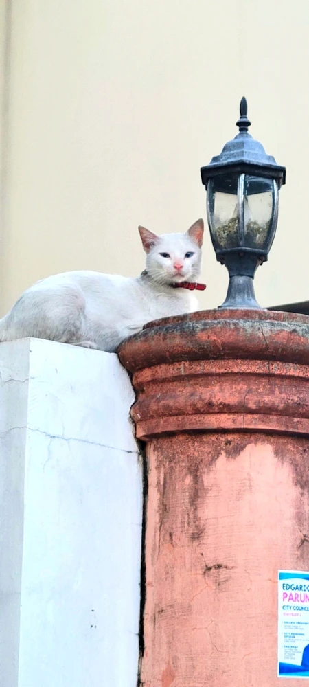 Image uploaded by Brat Virgo ♍️