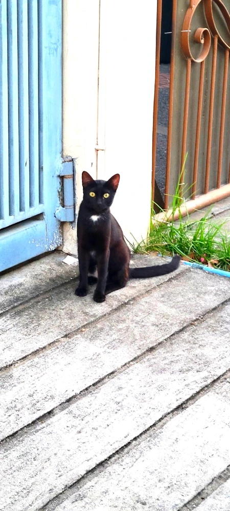 Image uploaded by Brat Virgo ♍️