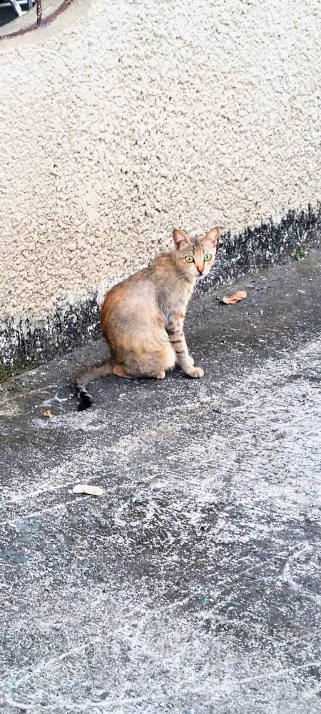 Image uploaded by Brat Virgo ♍️