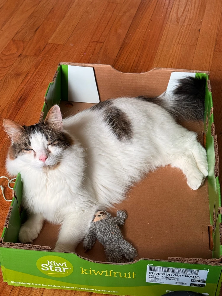 Image uploaded by Mikey