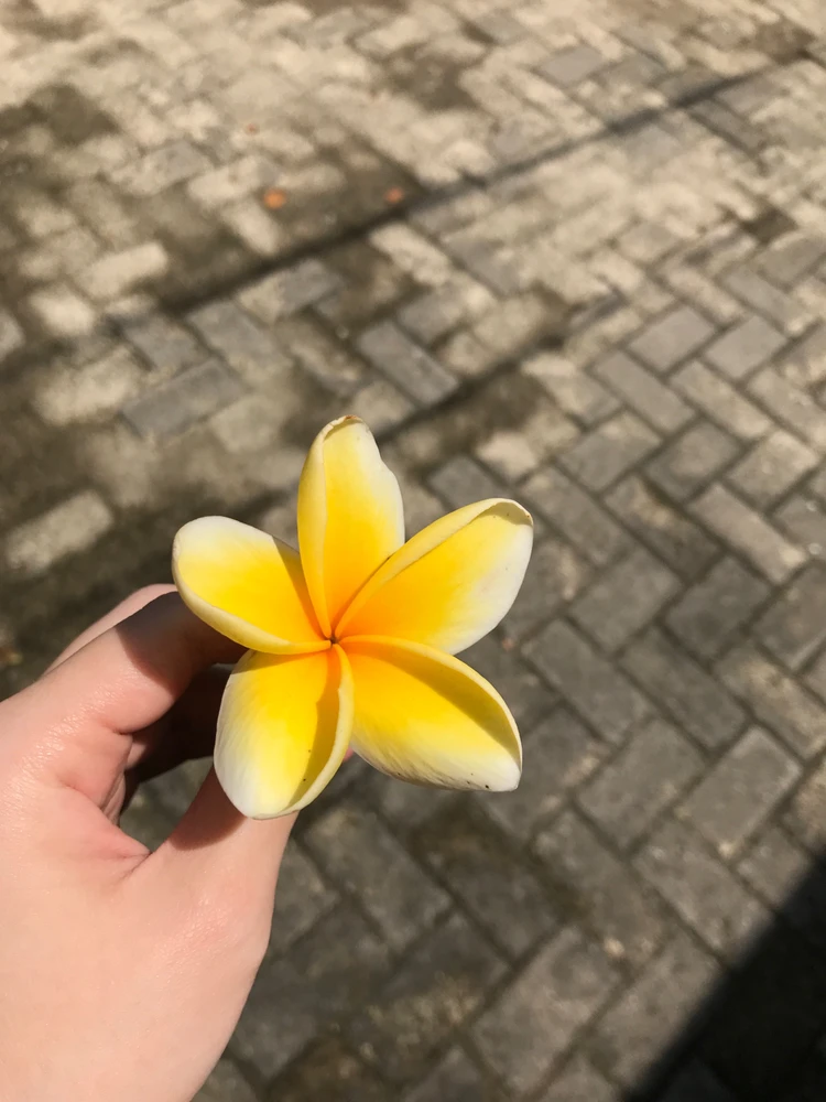 GIF uploaded by Elisa