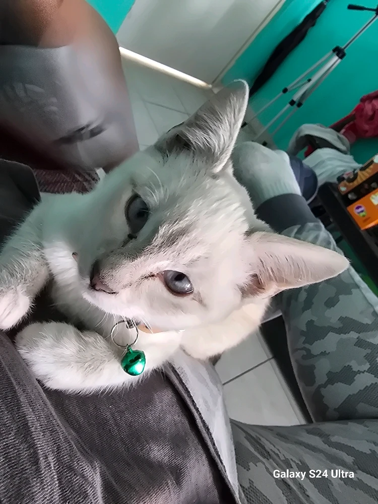 GIF subido por Saori