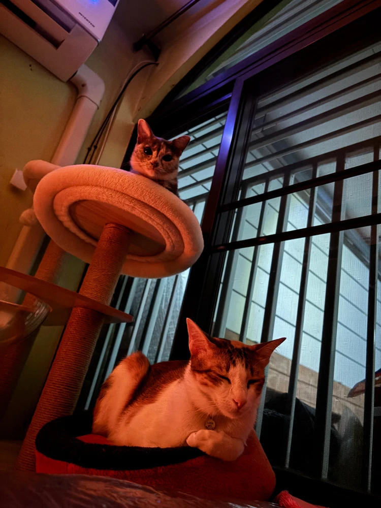 GIF uploaded by Pat♡