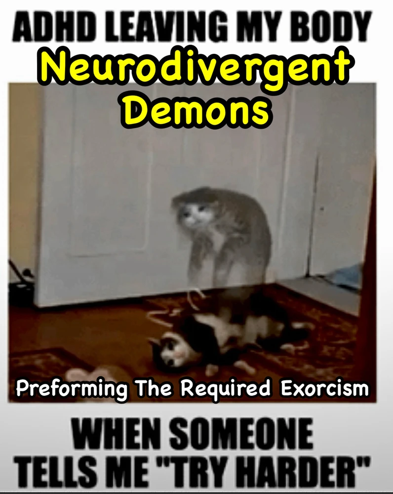 Image uploaded by Ford Davies