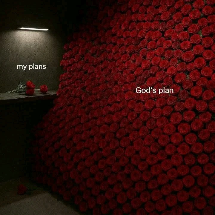 GIF uploaded by Noman Hyder lodhi