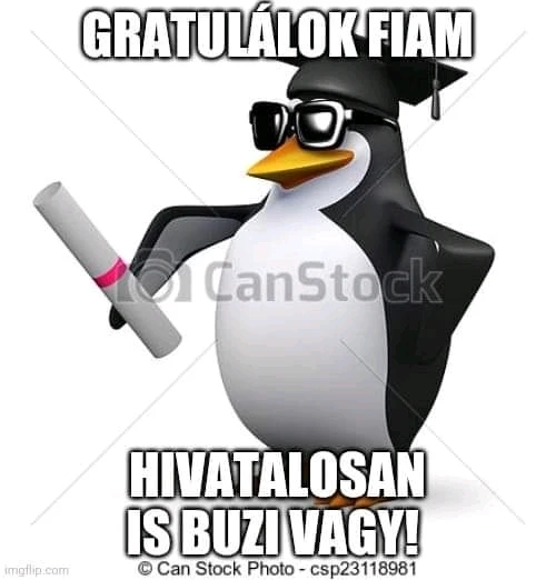 Bence által feltöltött kép