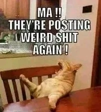 Bence által feltöltött kép