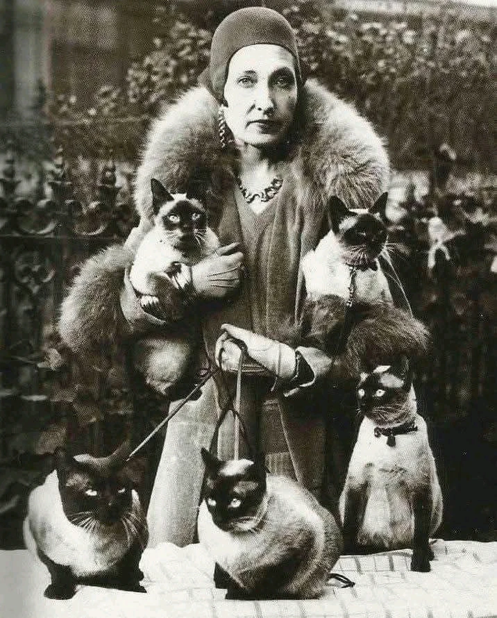 GIF uploaded by πJπoπeπyπ