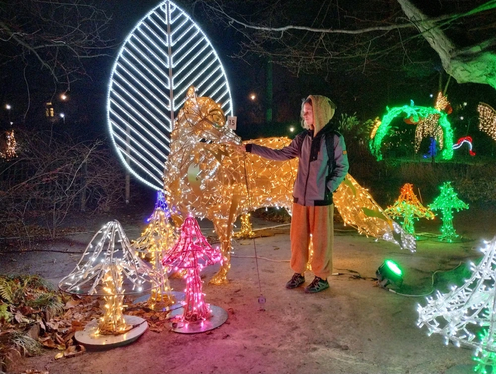 Zdjęcie dodane przez Igor