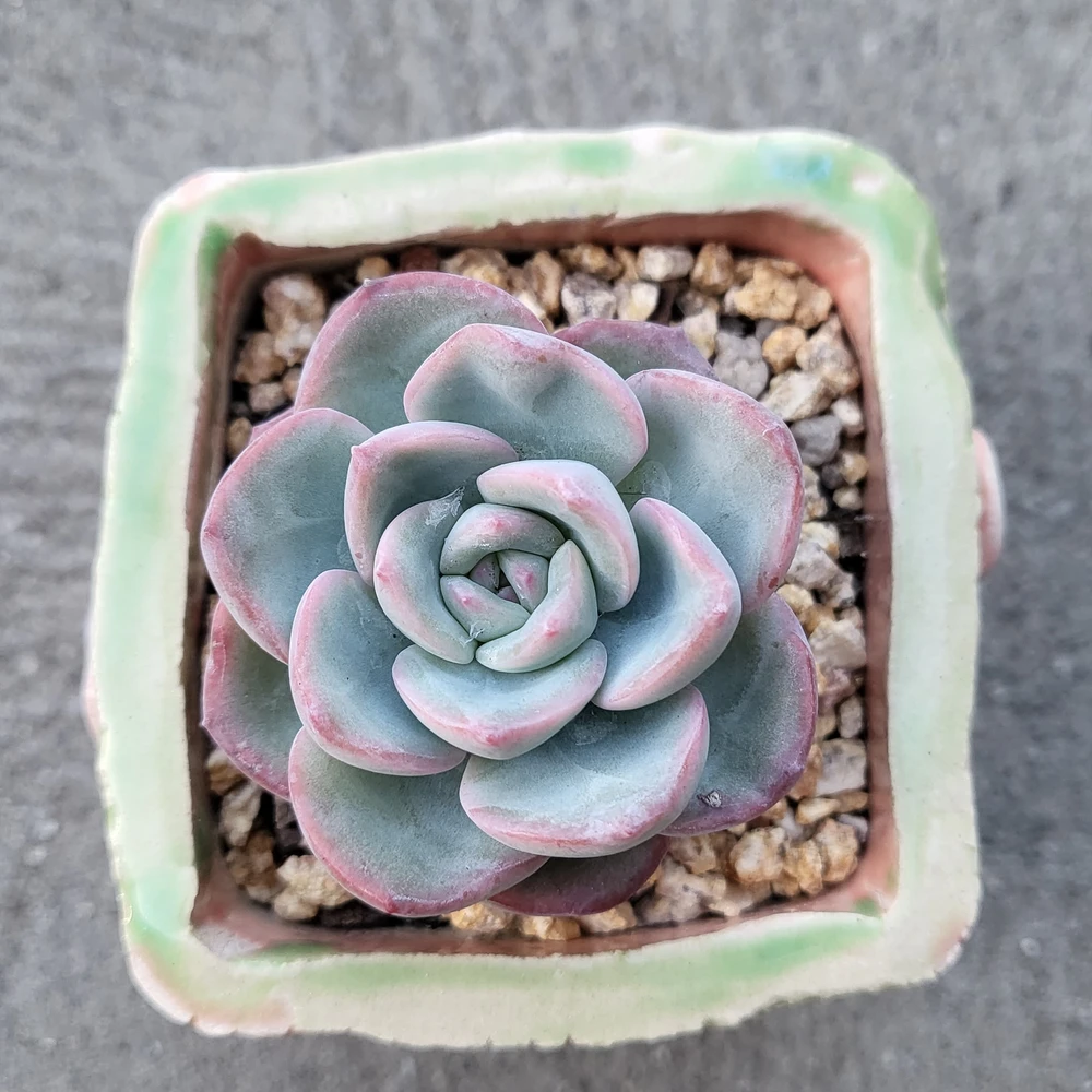 わたなべ かずきがアップロードした画像