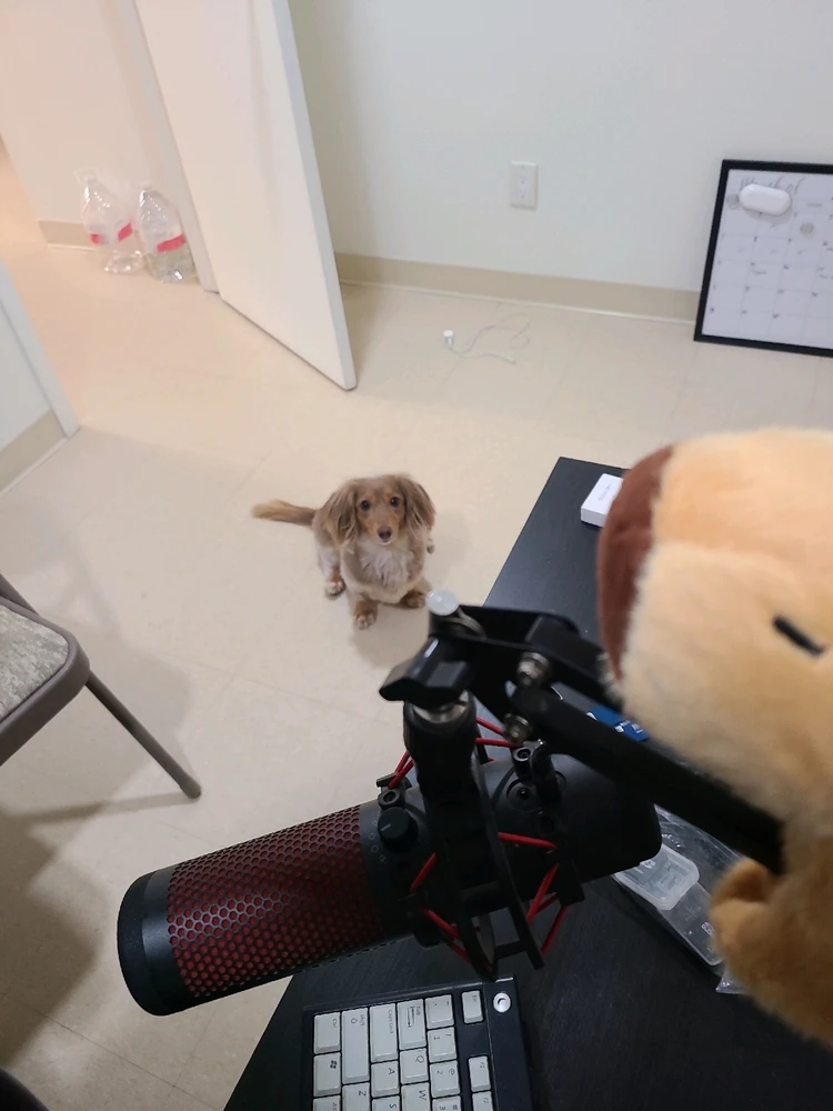 Image uploaded by Steven