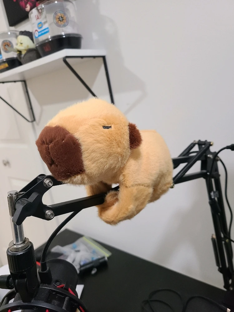 Image uploaded by Steven