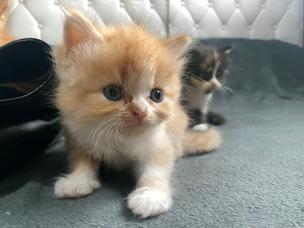 GIF uploaded by Hana