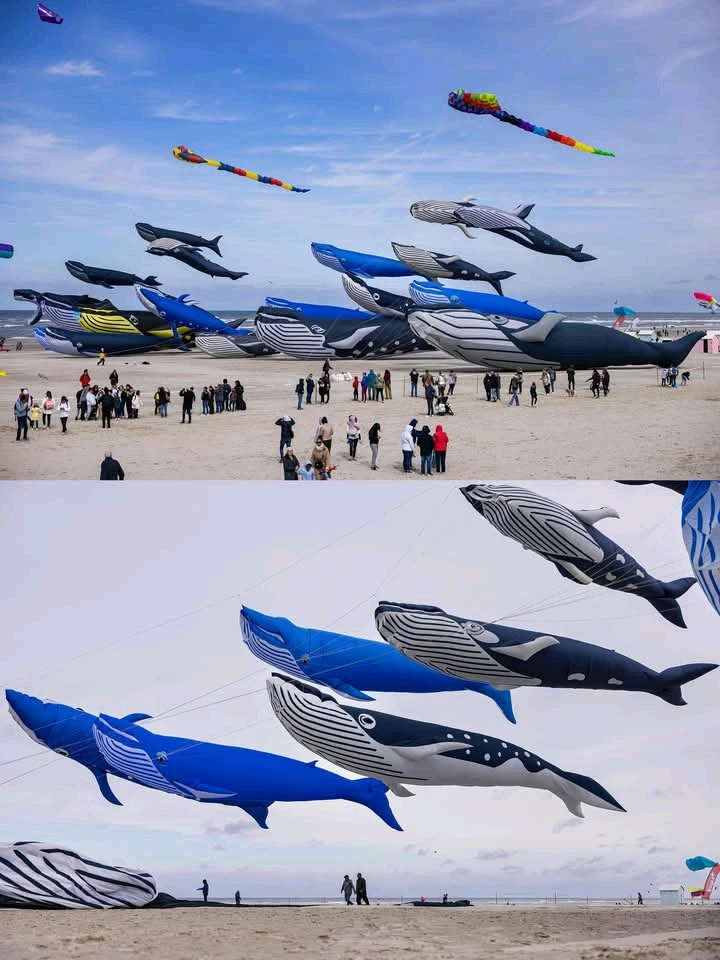 GIF uploaded by Laura