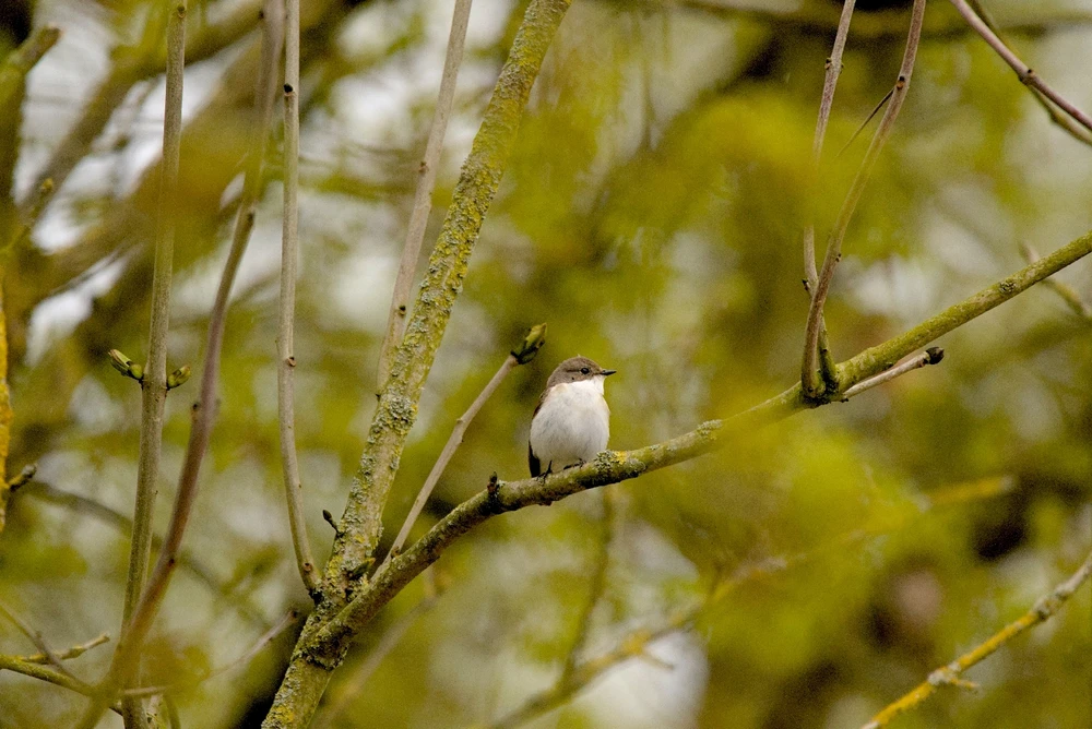 Bild hochgeladen von Philip
