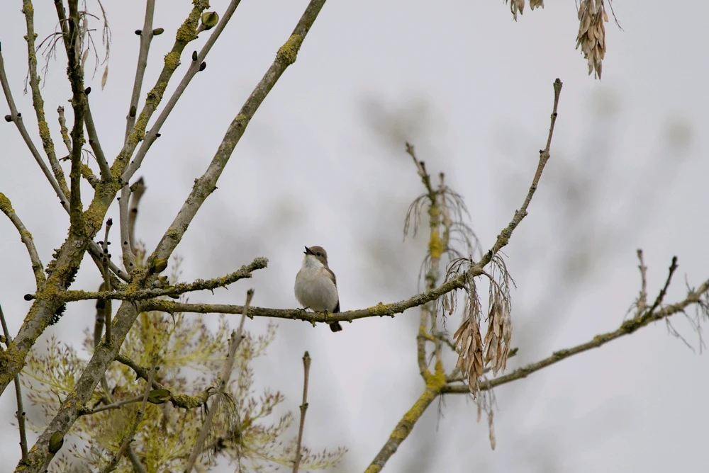 Bild hochgeladen von Philip