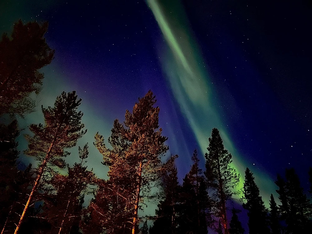 Image uploaded by Robin