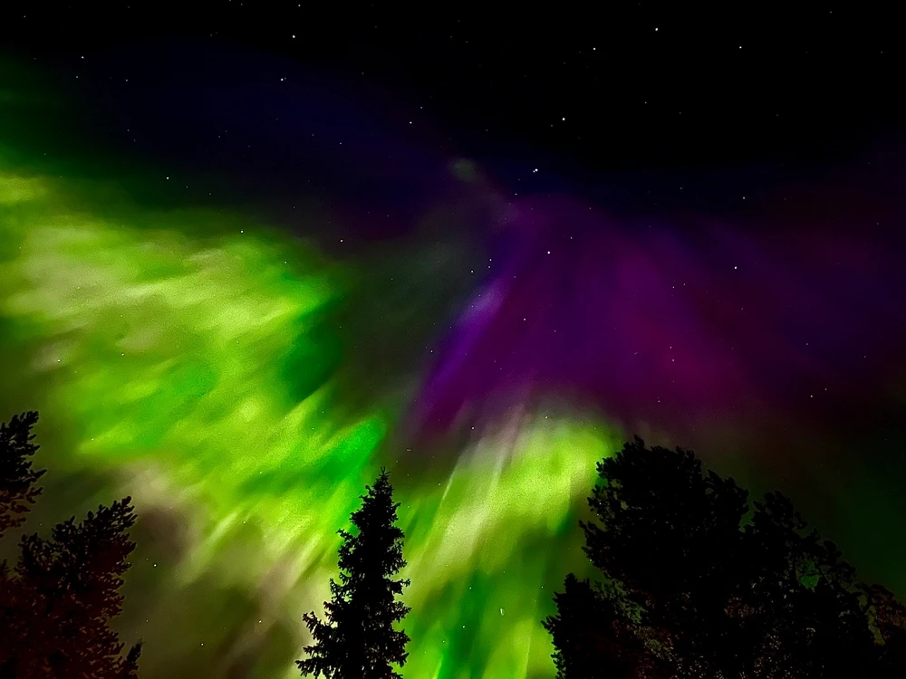 Image uploaded by Robin