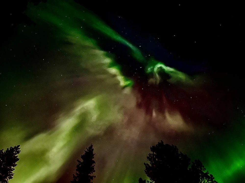 Image uploaded by Robin