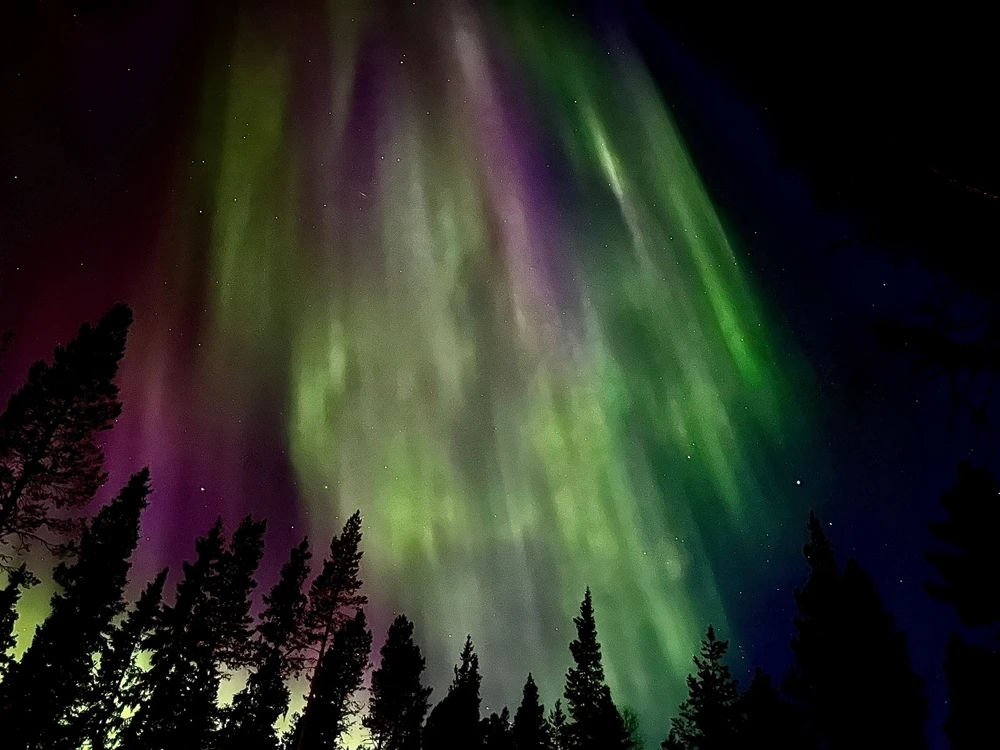 Image uploaded by Robin