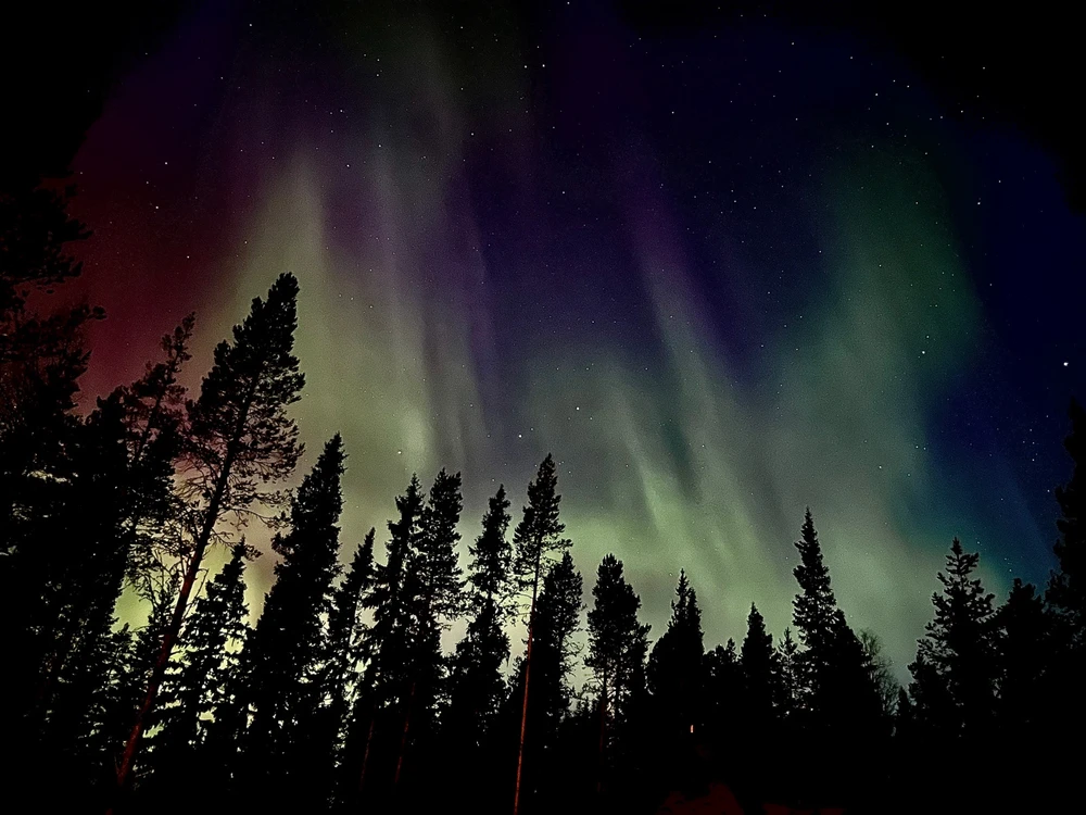 Image uploaded by Robin