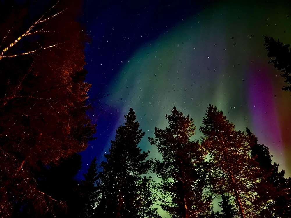 Image uploaded by Robin