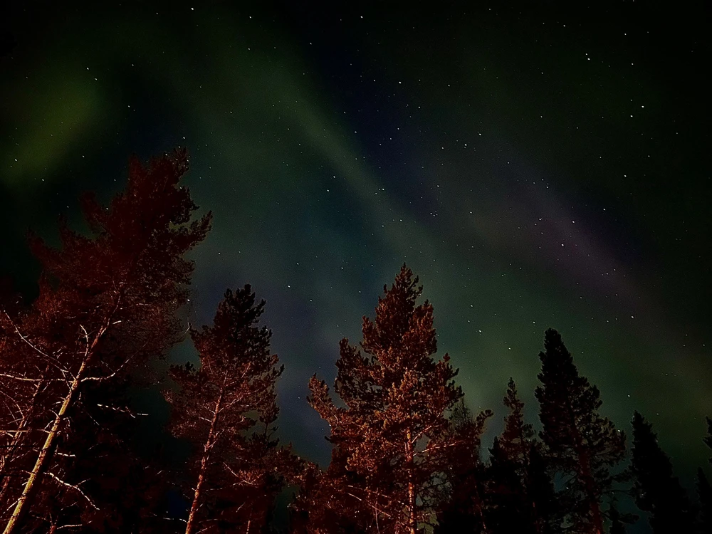 Image uploaded by Robin