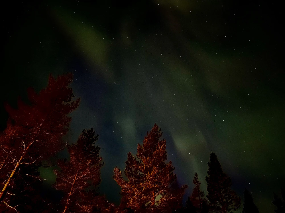 Image uploaded by Robin