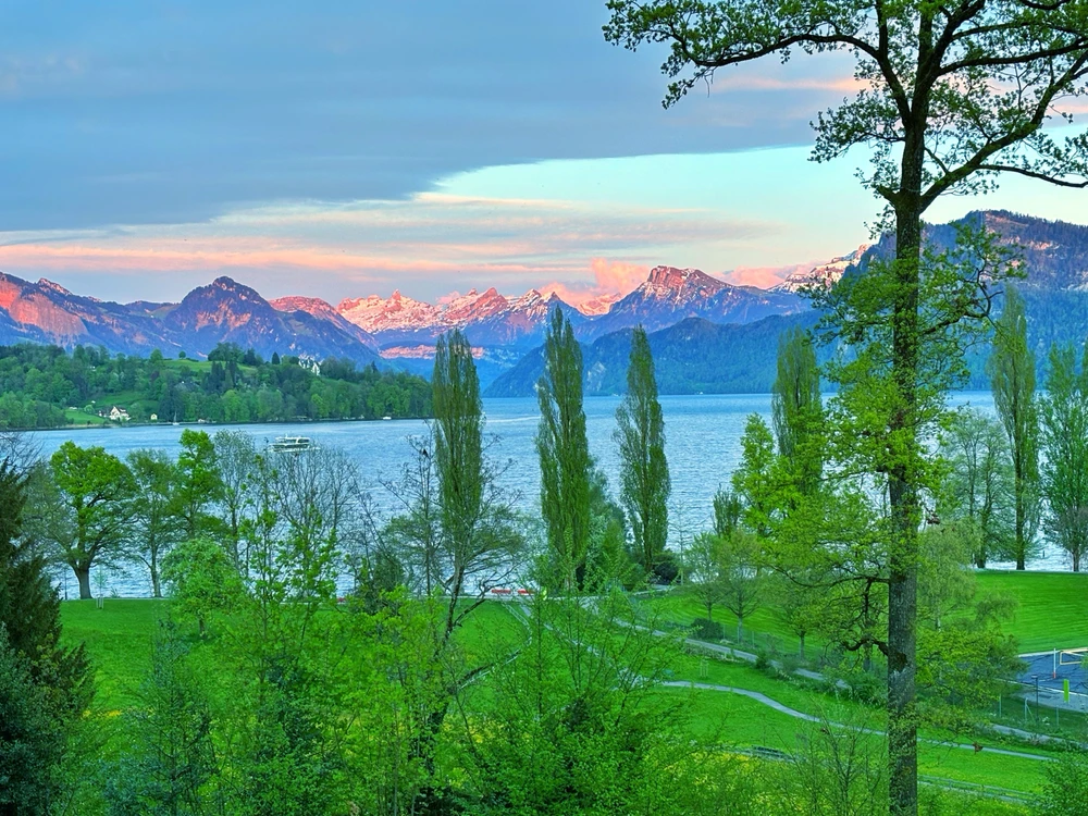 SaruがアップロードしたGIF