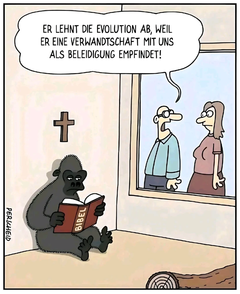 GIF hochgeladen von Anne (aka KuschelBrrrr- zeig mal etwas Wärme!!)