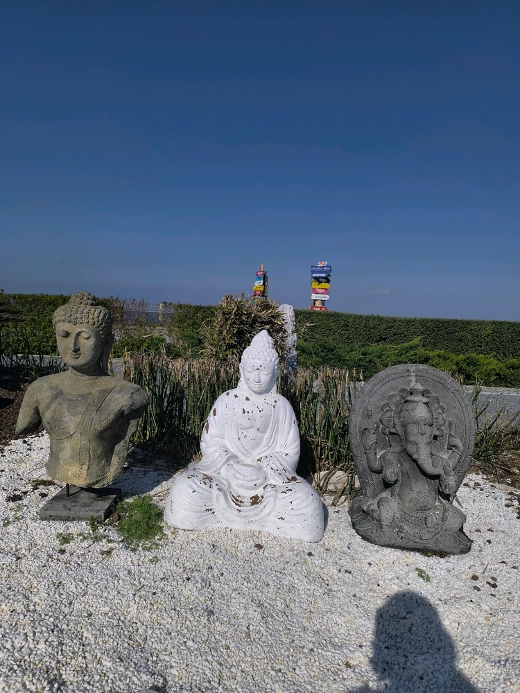 Alper tarafından yüklenen GIF