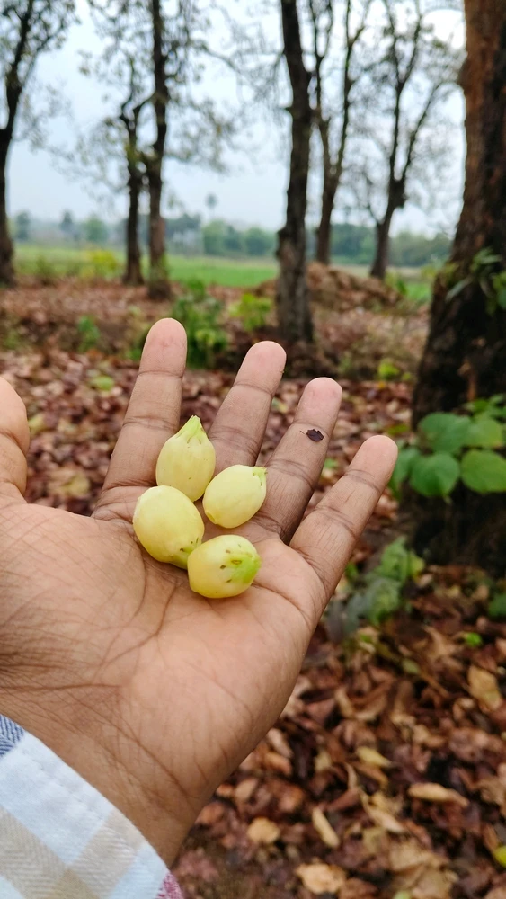 GIF uploaded by Nihar