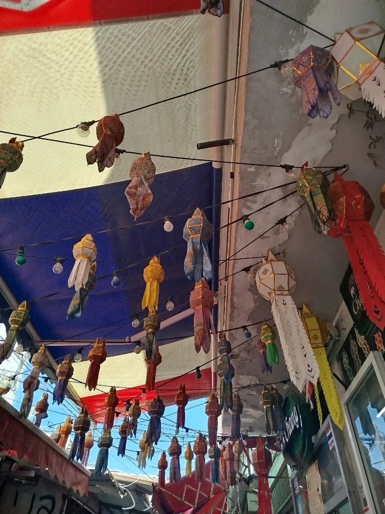 由Natasha上传的图片