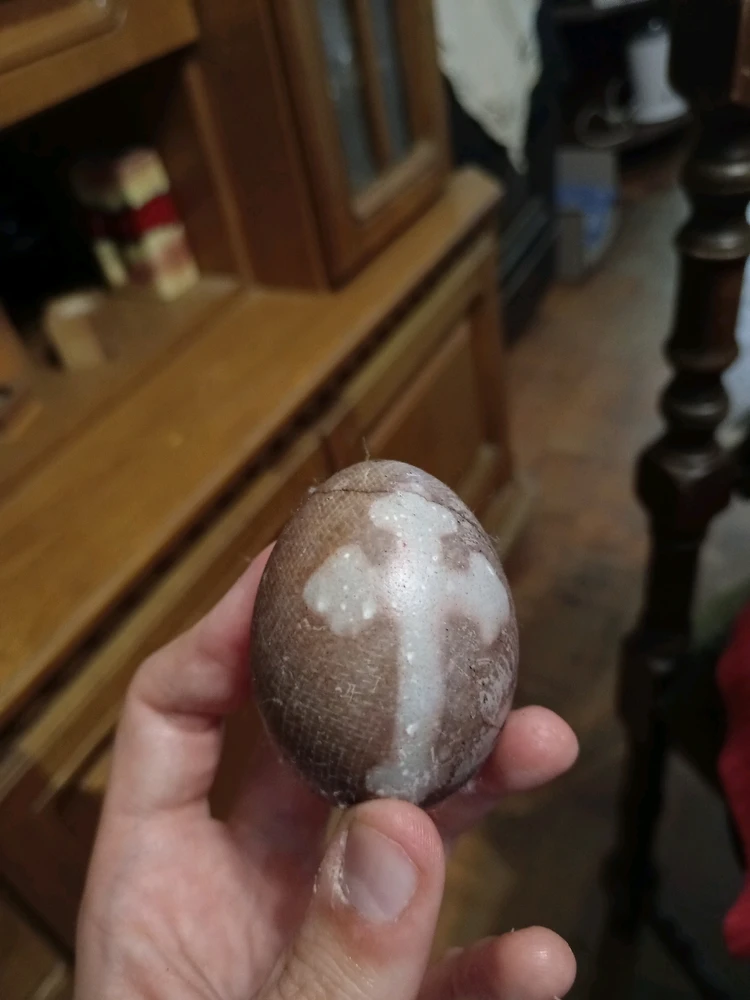 Sliku je postavio/la Marko Dukovski