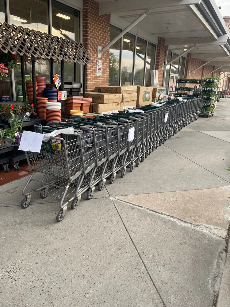 Image uploaded by Rynell