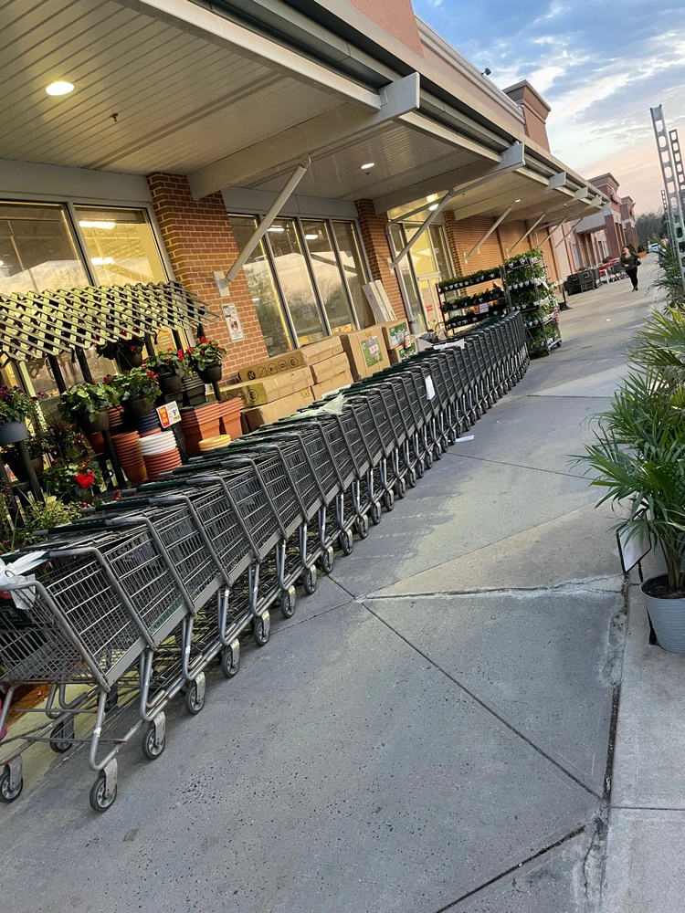 Image uploaded by Rynell