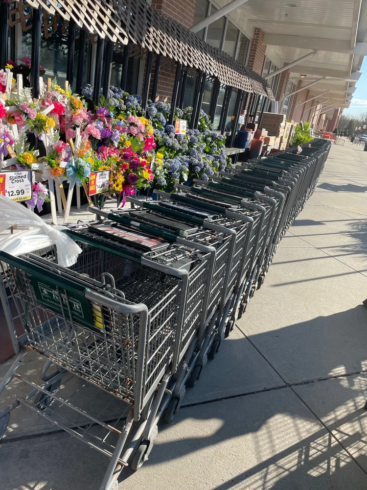 Image uploaded by Rynell