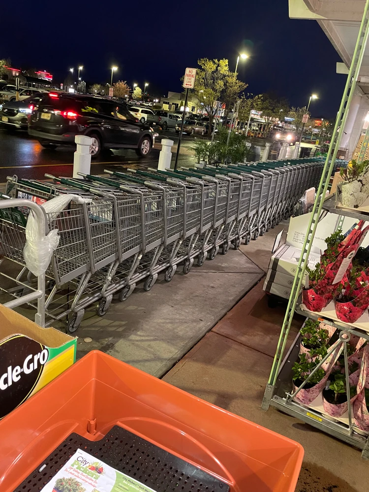 Image uploaded by Rynell