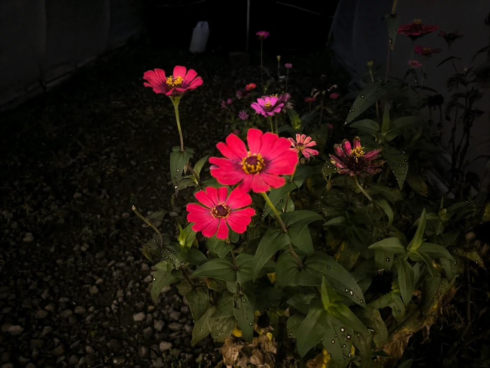 GIF diunggah oleh M toha