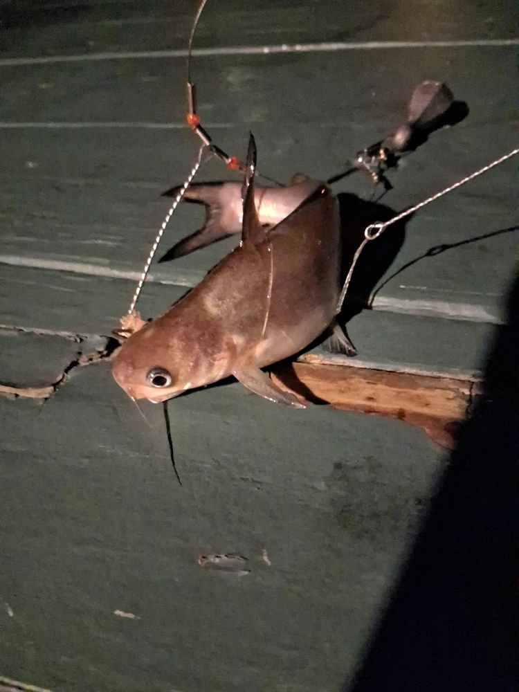 Image uploaded by Jada