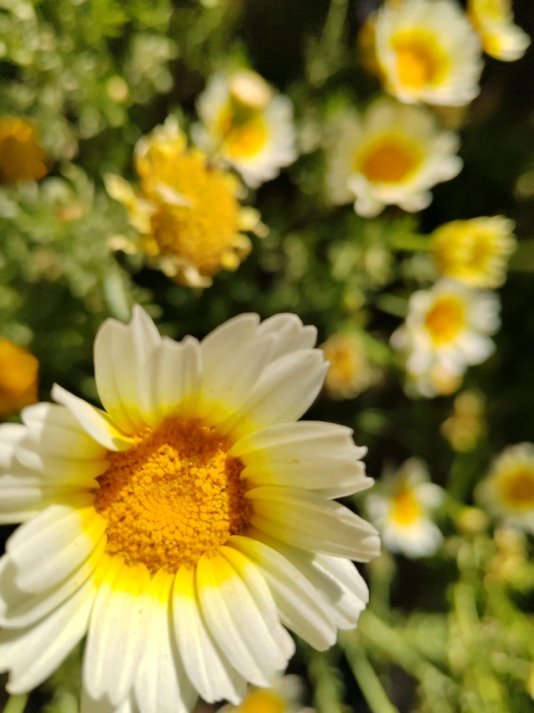 GIF hochgeladen von Ali💚💚💚