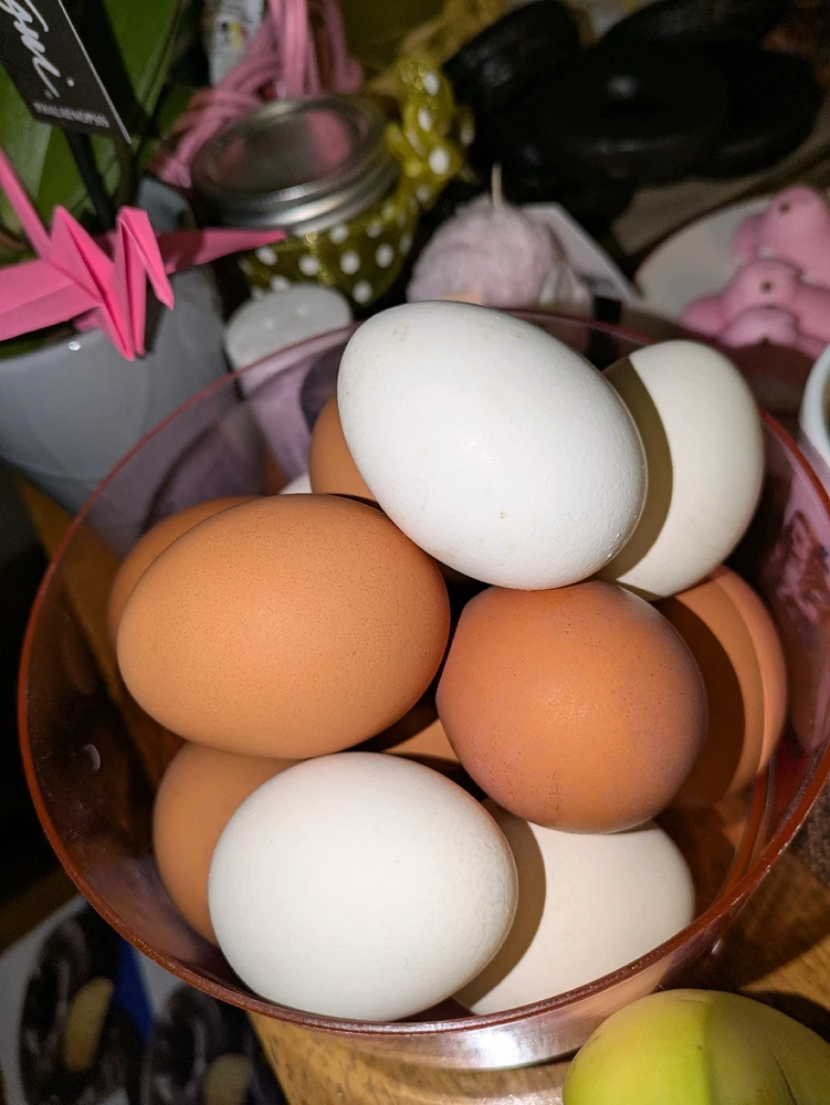 Gambar diunggah dening Kea